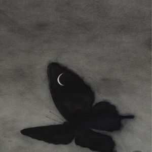 Meet your Posher, Fidan